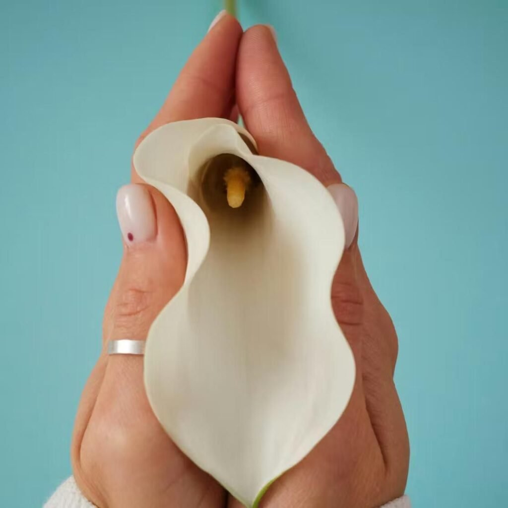 Clitoral hood reduction procedure showing female intimate health and surgical correction concept