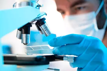 Hematology Lab CLAGS